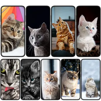 Miado de Gatinho Gato Macio Caso Capa para o Xiaomi Redmi Nota 11 10 9 8 Pro 9S 10S 11S 9A 9C 9T 10A 10C 8A K50 Telefone da Carcaça