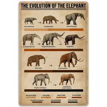 Sinal de Metal A Evolução do Elefante Estanho Cartaz Animal linha Cronológica Retro Arte de Parede Quarto Decoração Clube Office Placa